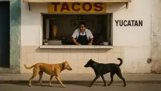 El mito de la taquería de Mérida que supuestamente vendía carne de perro: ¿Qué se sabe hoy?