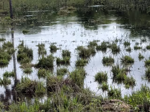 Aguas provenientes de Campeche llegaron hasta la zona de ranchos causando las inundaciones