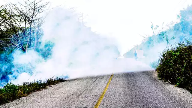 Entre las causas que provocan el fuego están las actividades agropecuarias, cazadores, fumadores y quema de basureros