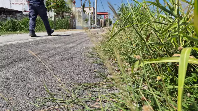 Vecinos denuncian abandono de ciclovía en zona turística de Champotón