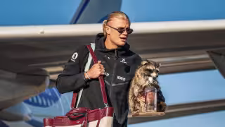 El peculiar mapache de Haaland