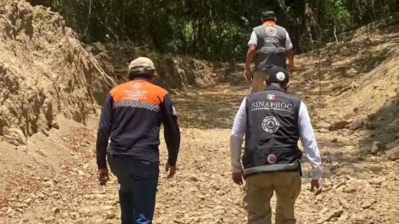 Brigadistas de ECO recorren zonas vulnerables ante el Ciclón Tropical Uno en Veracruz Brigadistas de ECO recorren zonas vulnerables ante el Ciclón Tropical Uno en Veracruz