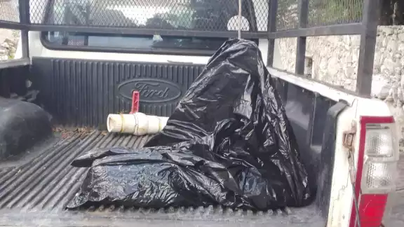 Las autoridades se han hecho cargo de los cuerpos de los perros