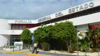 Fiscalía de Campeche ya investiga caso de violación contra perrita en la colonia Polvorín
