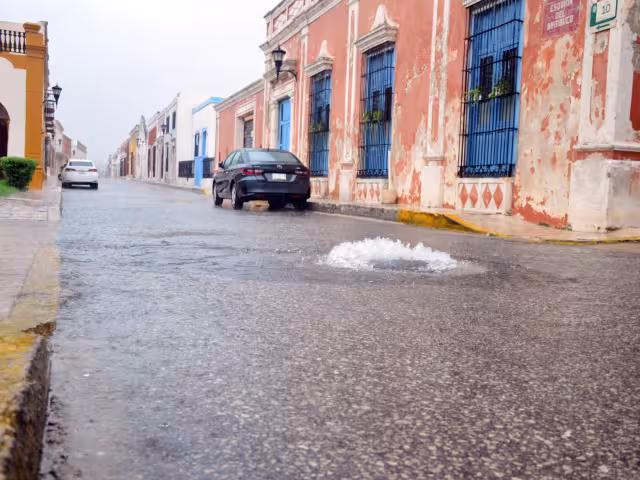 La instrucción es atender a la gente y disponer de los recursos.