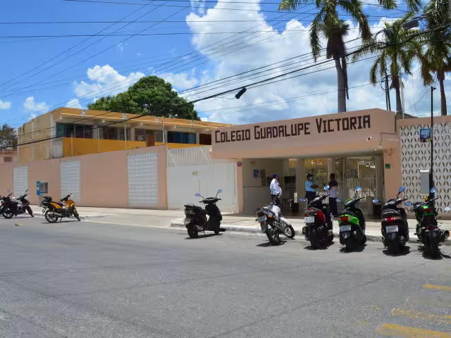 El paracetamol y la clorfenamina están entre los “favoritos” de las personas