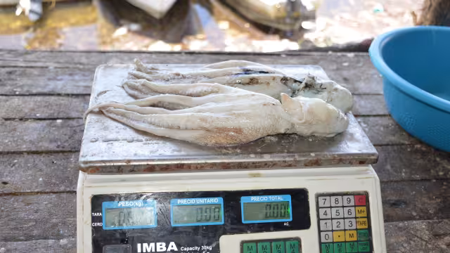 Vendedores dicen que es limitado