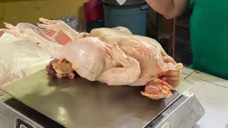 El precio del pollo fresco en Hopelchén aumentó de 62 a 65 pesos, afectando levemente la economía familiar
