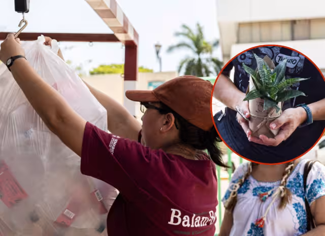 La Ecoferia Balam Beh celebrará su tercera edición el 18 de octubre en el Deportivo 20 de Noviembre.
