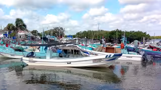 Uno de los problemas que afrontan hombres de mar es la saturación de productos de otras naciones.
