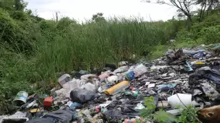 Basureros clandestinos en crecimiento; afectan la sabana de Chetumal