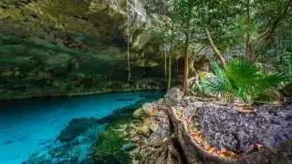 ¿Cuál es la zona de Quintana Roo con más cenotes?