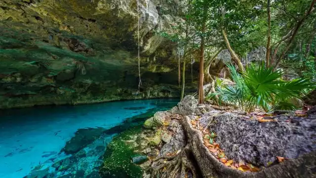 ¿Cuál es la zona de Quintana Roo con más cenotes?