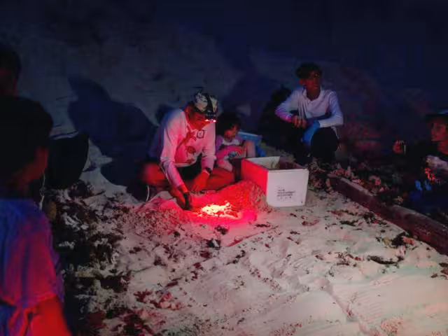 Brigadas de voluntarios y personal técnico recorrerán las playas para identificar, marcar y resguardar áreas de desove