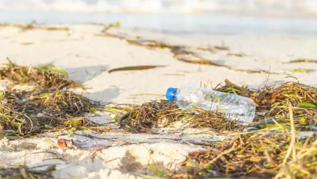 El año cerró con 44 jornadas de limpieza realizadas en nueve municipios costeros