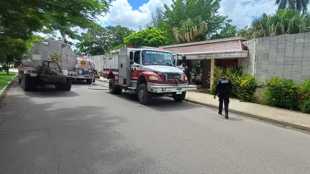 Ninguno de los canes resultó herido