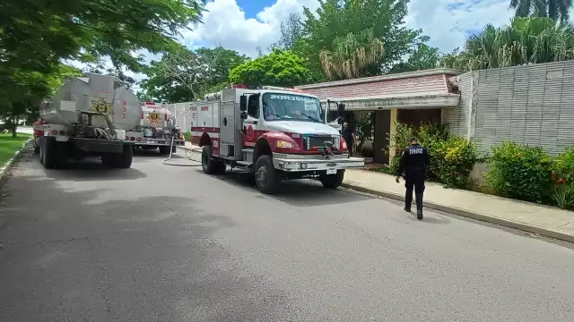 Ninguno de los canes resultó herido
