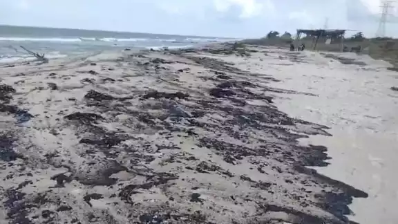 Las manchas de material pétreo aparecieron en Isla Aguada, Sabancuy, Puerto Real, Bahamitas y hasta en la colonia Tierra y Libertad