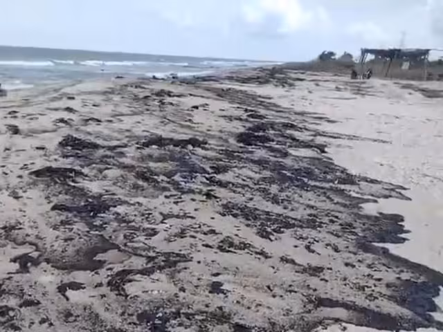 Las manchas de material pétreo aparecieron en Isla Aguada, Sabancuy, Puerto Real, Bahamitas y hasta en la colonia Tierra y Libertad