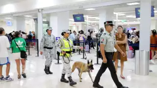  Aseguraron cargamento de marihuana con un valor de medio mdp en el aeropuerto de Cancún