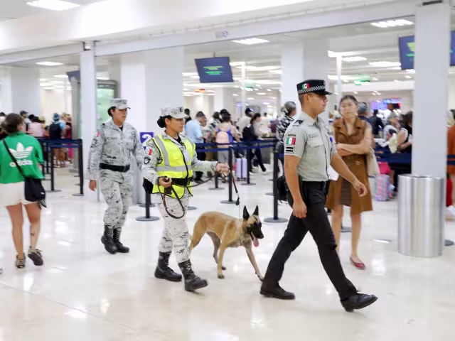 El cargamento de enervantes estaba preparado, listo para ser distribuido en la ciudad, informaron autoridades federales