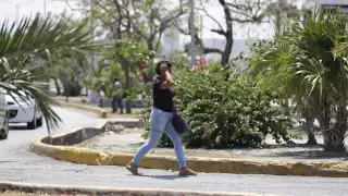 Violencia, ansiedad y depresión: Más de 200 mujeres han recibido  ayuda psicológica en el IMM de Puerto Morelos  