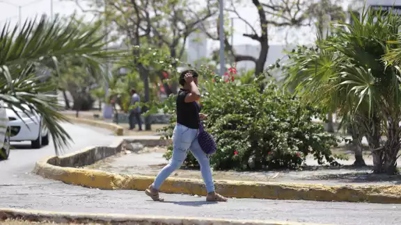 La mayoría de los reportes recibidos por la dependencia corresponden a violencia emocional y problemas de salud mental. La mayoría de los reportes recibidos por la dependencia corresponden a violencia emocional y problemas de salud mental.