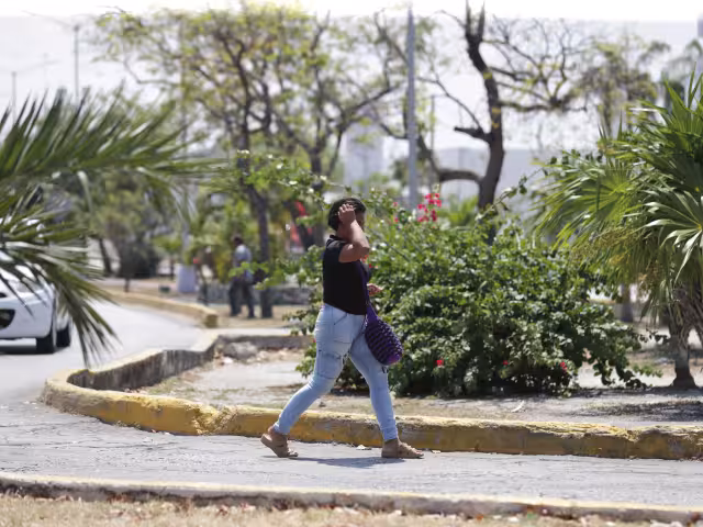 La mayoría de los reportes recibidos por la dependencia corresponden a violencia emocional y problemas de salud mental.