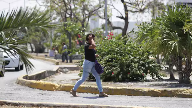 La mayoría de los reportes recibidos por la dependencia corresponden a violencia emocional y problemas de salud mental.