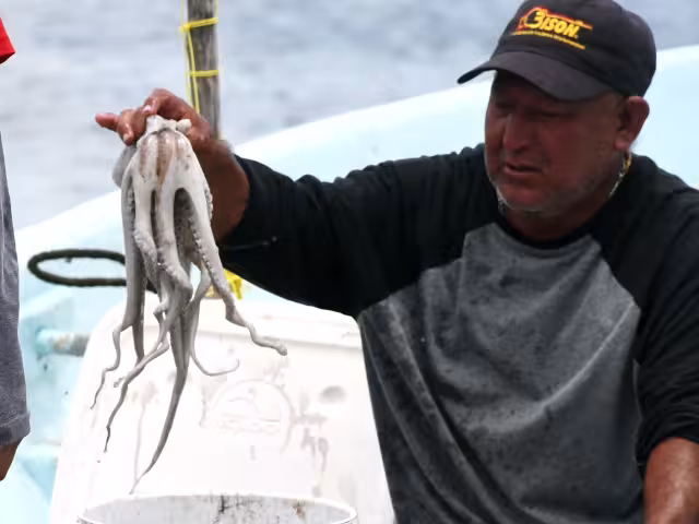 Entre carencias y fe, Sabancuy se alista para la pesca de pulpo