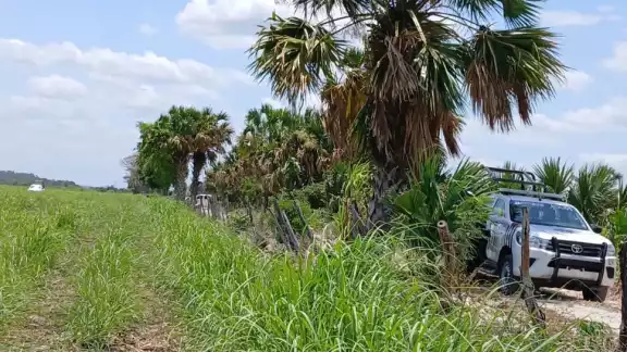 .E.P., apodado ‘El Pájaro’, fue asesinado de un disparo en Moquel, Champotón .E.P., apodado ‘El Pájaro’, fue asesinado de un disparo en Moquel, Champotón