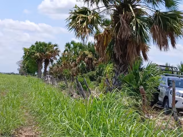 .E.P., apodado ‘El Pájaro’, fue asesinado de un disparo en Moquel, Champotón