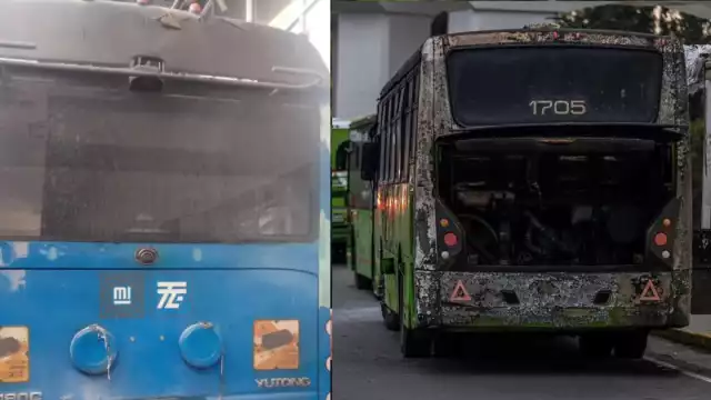 Las unidades afectadas  pero que no cobraron más vida ni lesionados