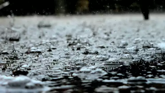 Gobierno confirma más de 40 muertos por lluvias; ¿qué medidas tomar ante ellas?
