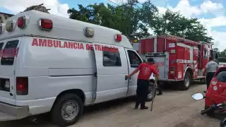 Sujeto machetea un perro en José María Morelos; su vecino procederá una denuncia por maltrato animal