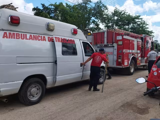 Sujeto machetea un perro en José María Morelos; su vecino procederá una denuncia por maltrato animal