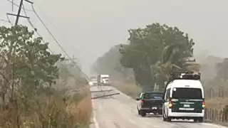 Caen postes de luz en Candelaria debido a lluvias y ráfagas de viento en Campeche