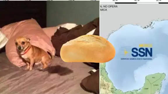 Los mejores memes de las rede sociales Los mejores memes de las rede sociales