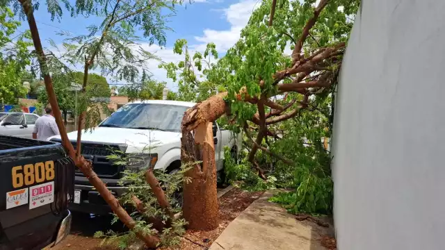 En el incidente no se registraron heridos