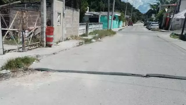 El hecho se hizo viral en redes sociales y los internautas condenaron de manera unánime lo que consideraron un acto vandálico