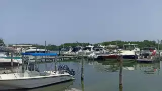 Detectan  hasta 300 embarcaciones “piratas" en Cancún; generan grandes pérdidas a empresas registradas