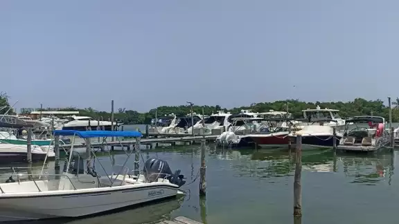Según Asociados Náuticos de Quintana Roo, en Benito Juárez es donde más afecta a los prestadores de servicios, la presencia de touroperadores sin permiso Según Asociados Náuticos de Quintana Roo, en Benito Juárez es donde más afecta a los prestadores de servicios, la presencia de touroperadores sin permiso
