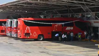 ADO tendrá nueva ruta a la Zona Hotelera de Cancún: ¿Cuánto cobrará y de dónde partirá?