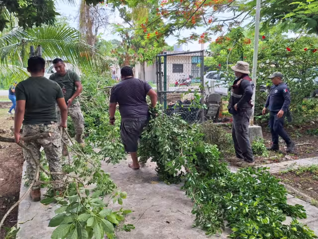 En algunas colonias se realizaron trabajos de limpieza entre otras acciones