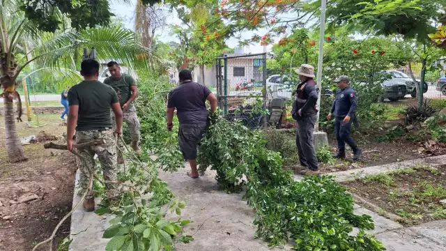En algunas colonias se realizaron trabajos de limpieza entre otras acciones