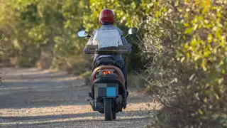 Un hombre fue captado transportando una jaula en donde aparentemente capturó aves