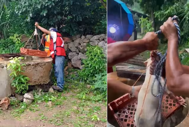 Un perrito cayó en un pozo de 14 metros de profundidad en Tepakán mientras correteaba gatitos