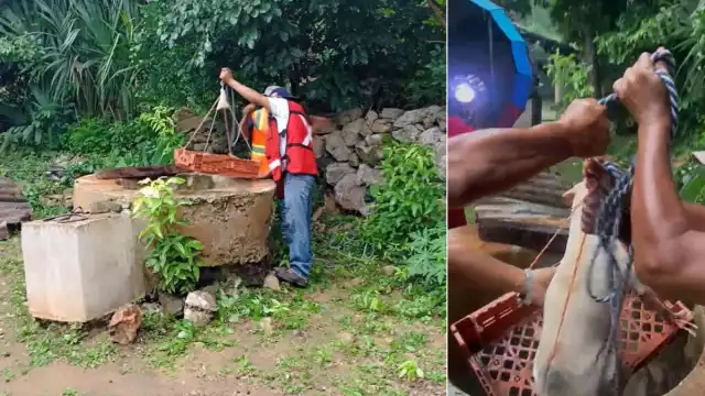 Un perrito cayó en un pozo de 14 metros de profundidad en Tepakán mientras correteaba gatitos