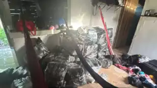 Aseguran más de 450 kg de droga en tres operativos en Quintana Roo