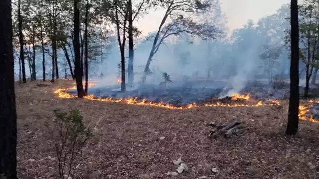 La Semabicce detectó nuevo incendio en Las Maravillas Escárcega